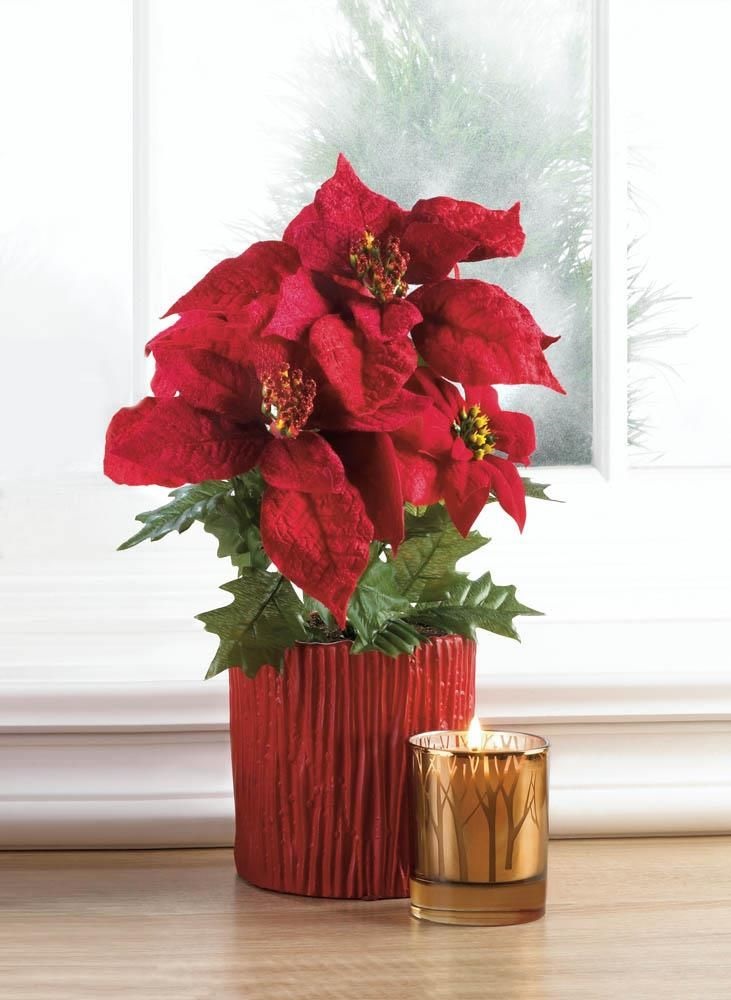 Christmas Collection