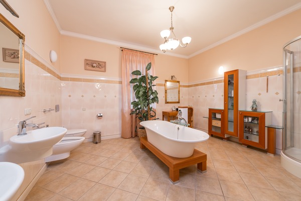 Bathroom Necessities: Essential Decor, Maintenance, and Proper Bath and Body Care Products